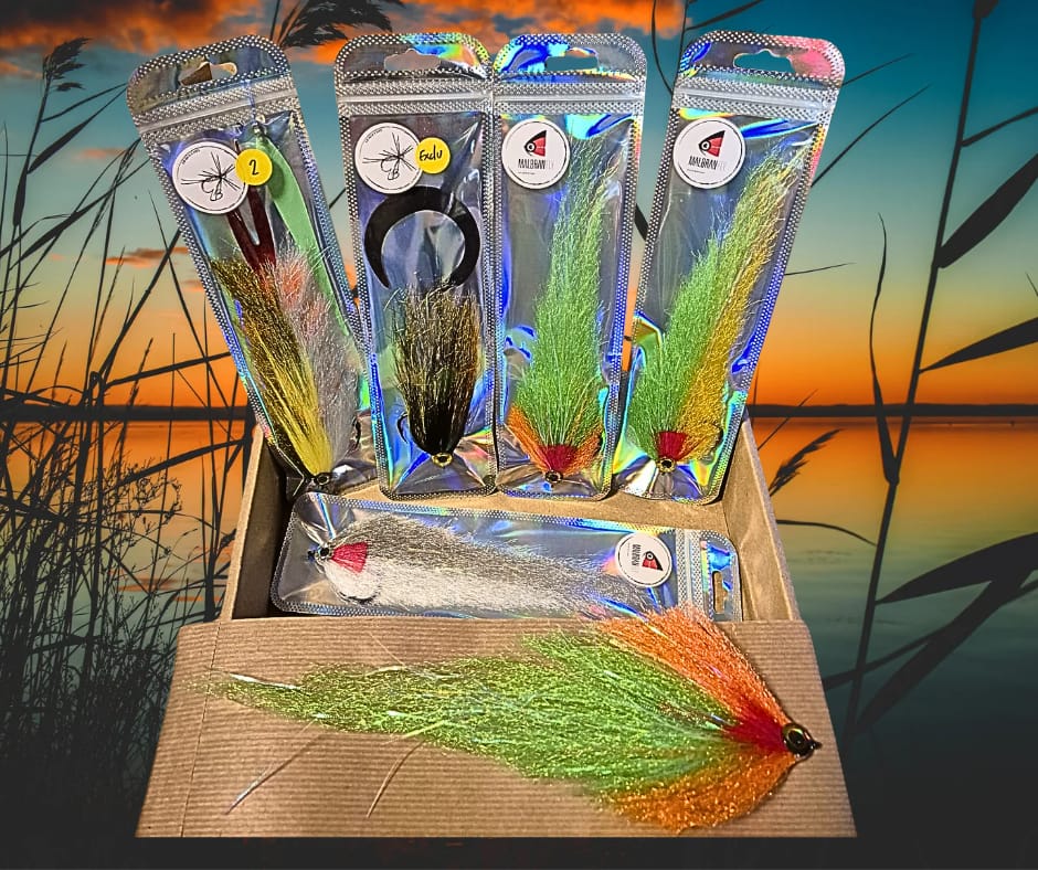 Pack Brochet "Rugen"